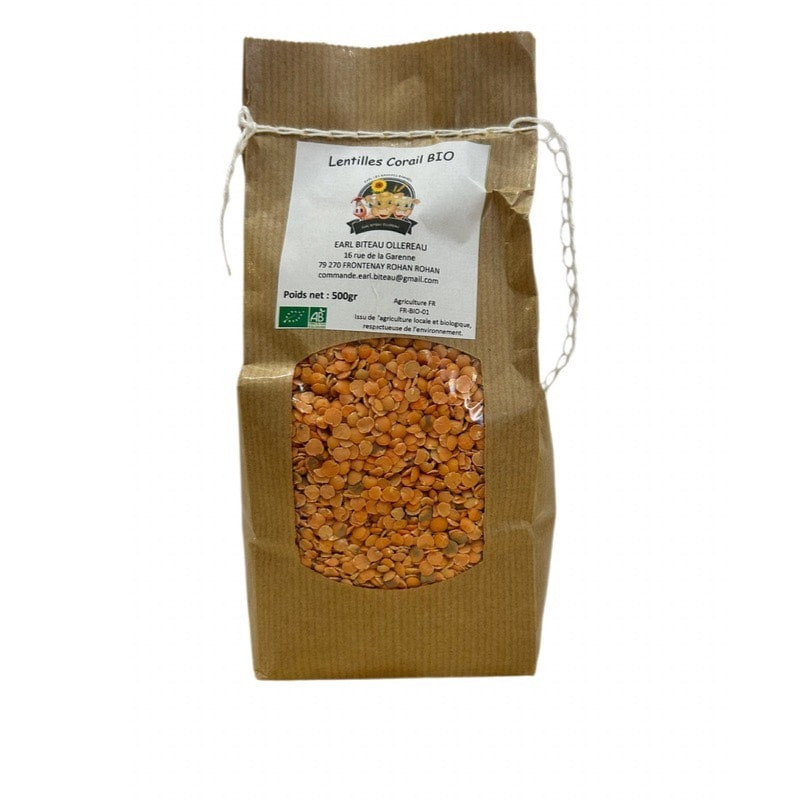 copy of BIOGRAFÍA DE MOGETTES SECHES