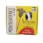 Dentifrice en poudre Citron Gingembre