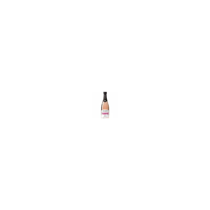 copy of Le Blanc JOYART – Pétillant Sans Alcool au Sauvignon Français