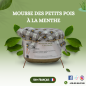 Mousse des petits pois à la menthe
